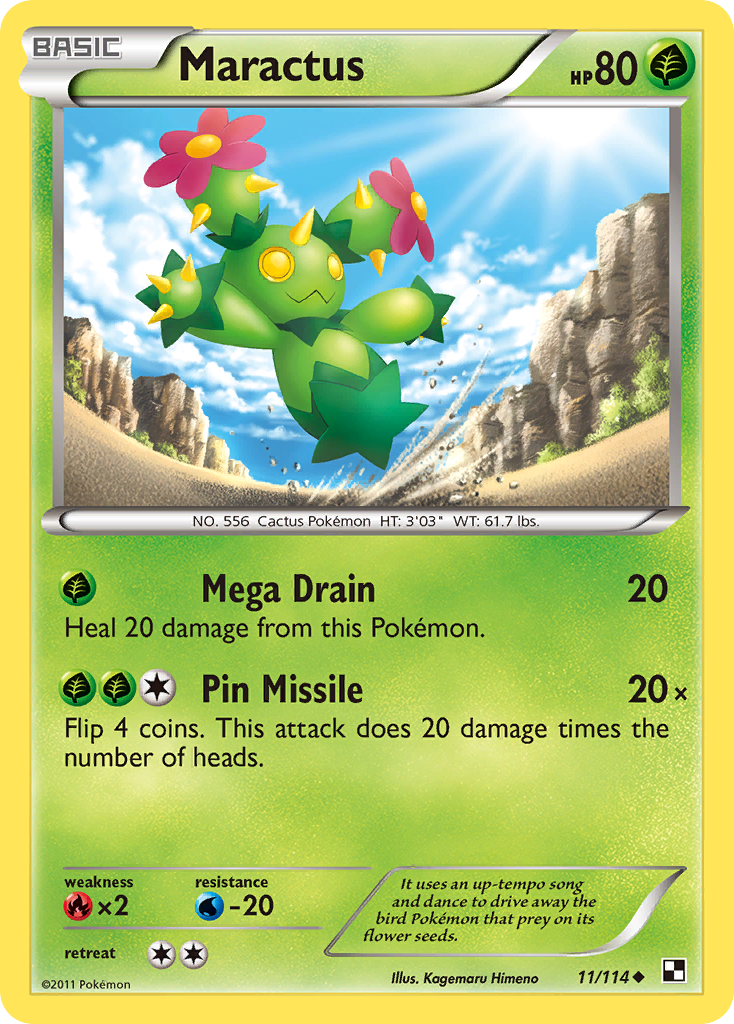 Maractus (English)