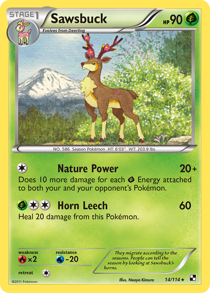 Sawsbuck (English)
