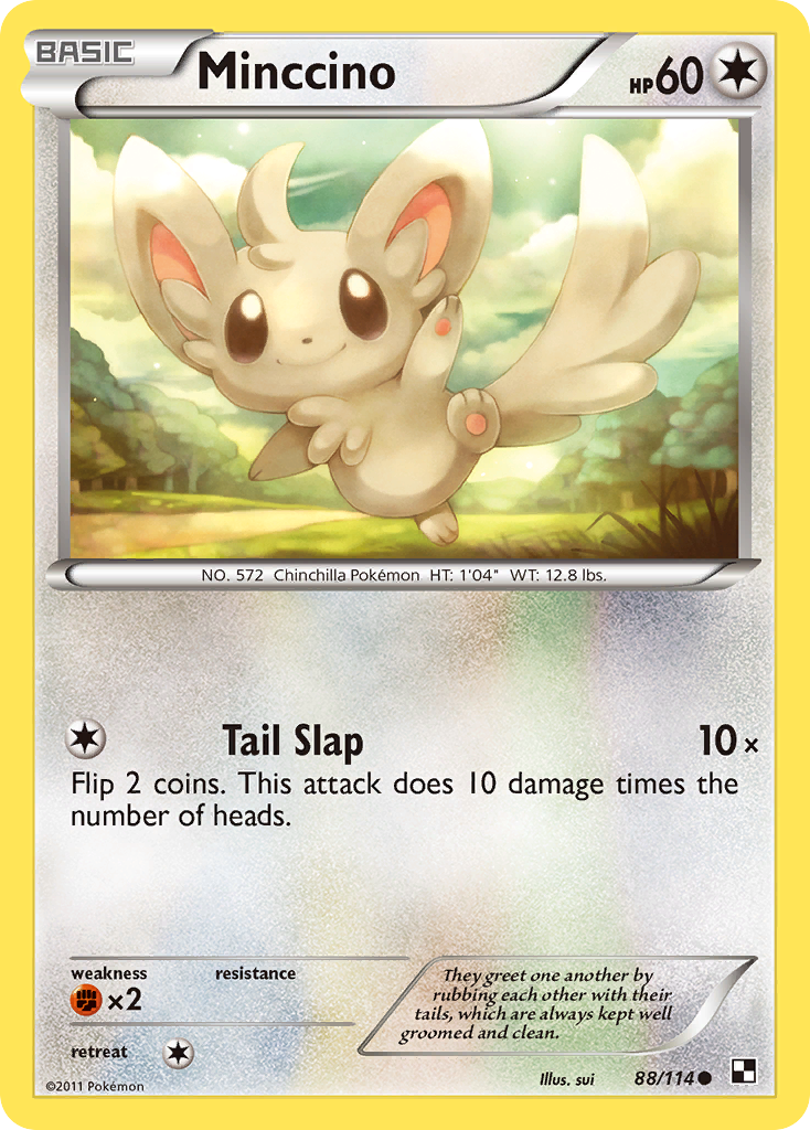Minccino (English)