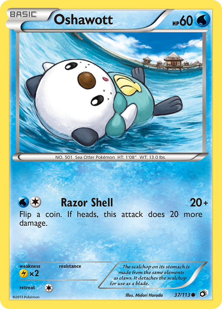 Oshawott (English)