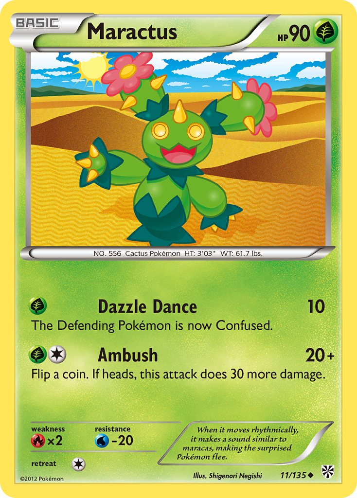 Maractus (English)