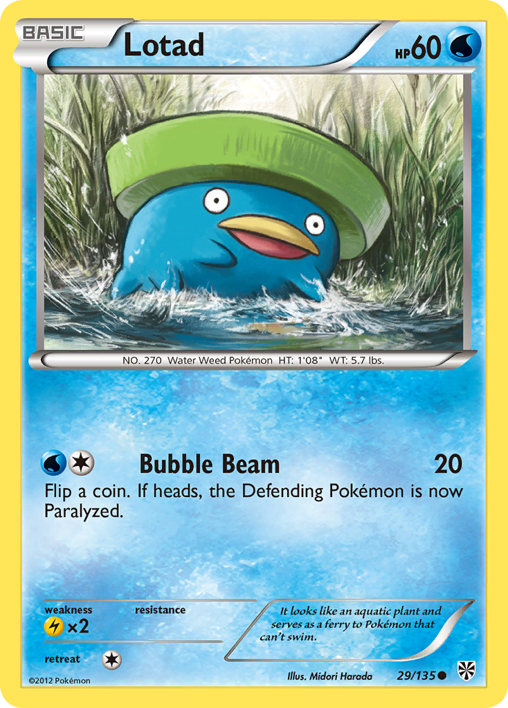 Lotad (English)