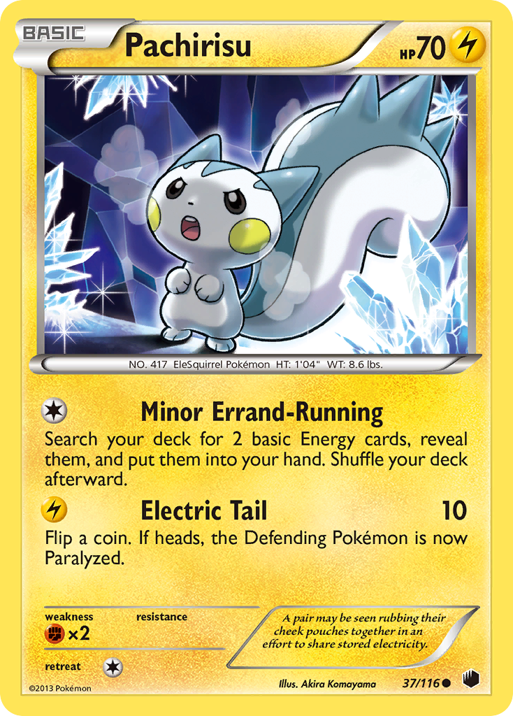 Pachirisu (English)