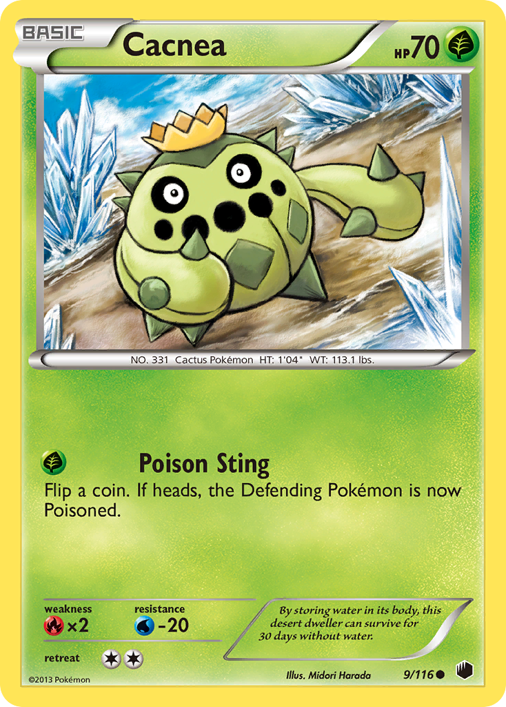 Cacnea (English)