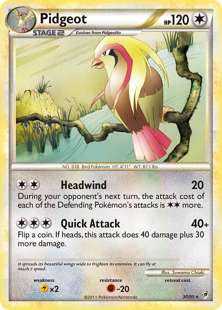 Pidgeot (English)