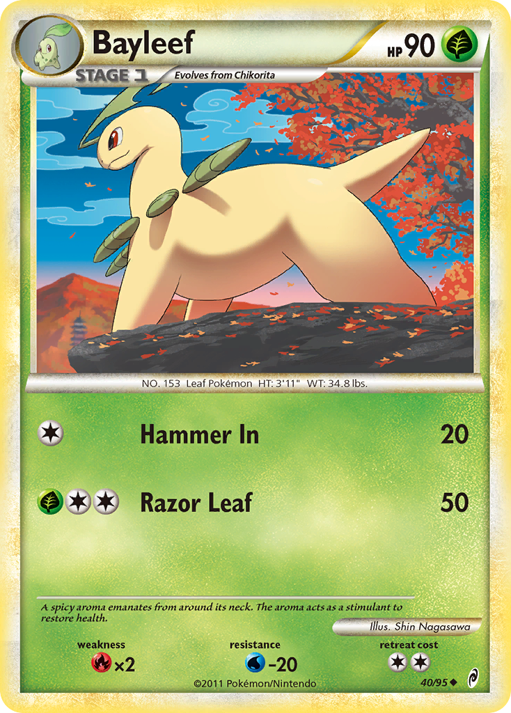 Bayleef (English)