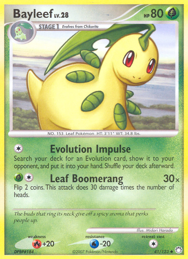 Bayleef (English)