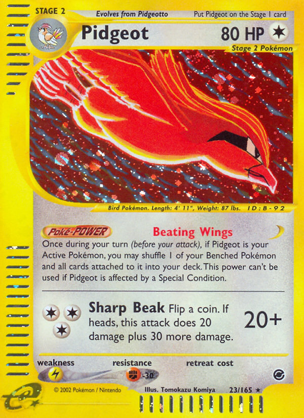 Pidgeot (English)