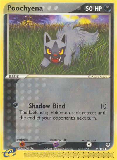 Poochyena (English)