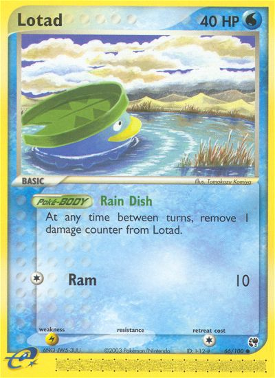 Lotad (English)