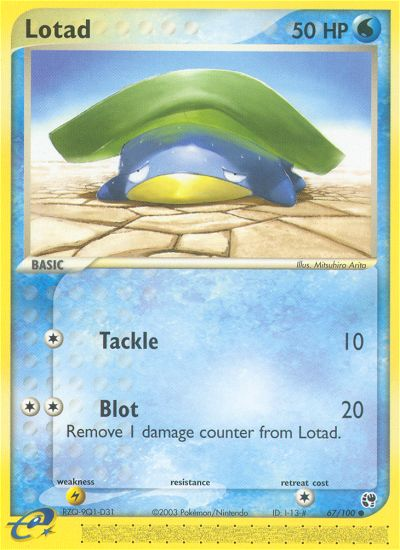Lotad (English)