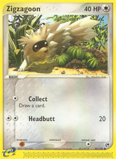 Zigzagoon (English)