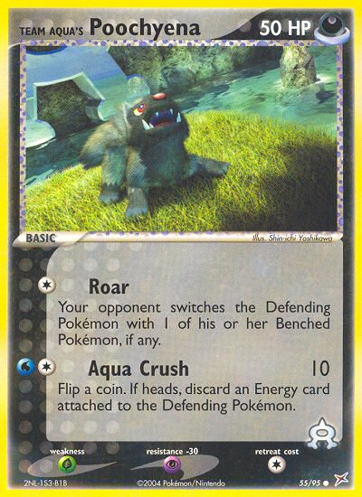Team Aqua's Poochyena (English)