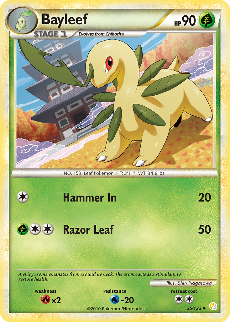 Bayleef (English)