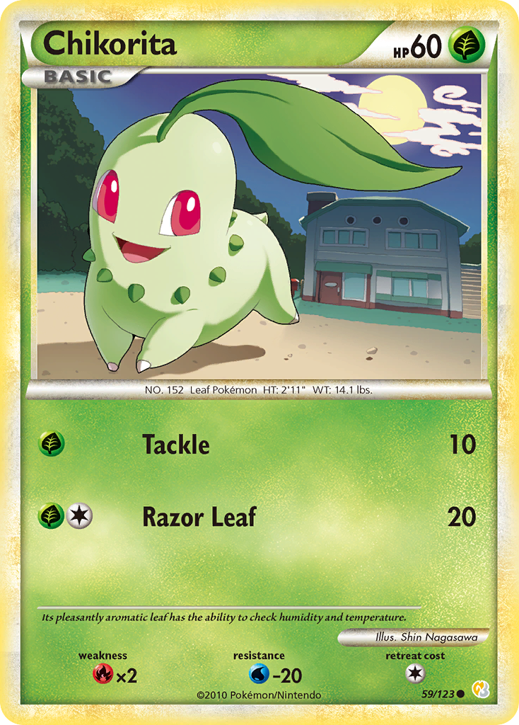 Chikorita (English)