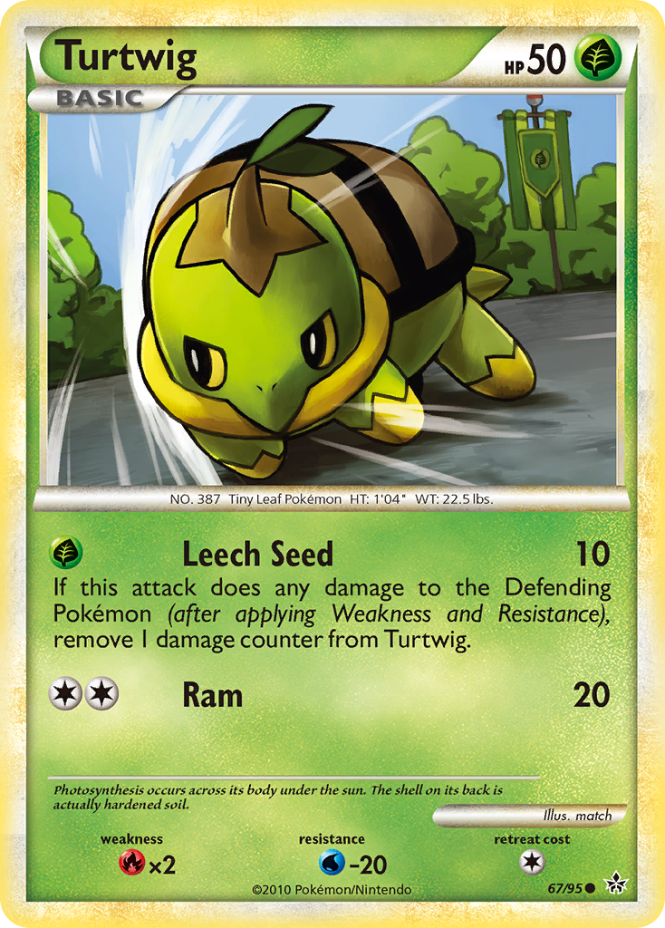 Turtwig (English)