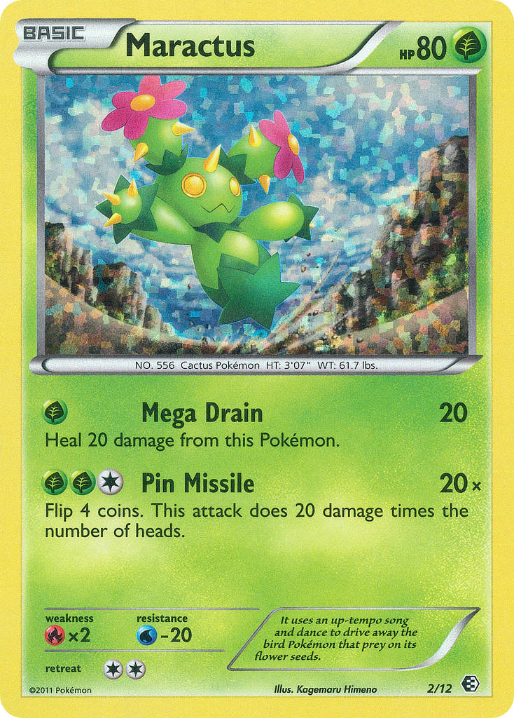 Maractus (English)