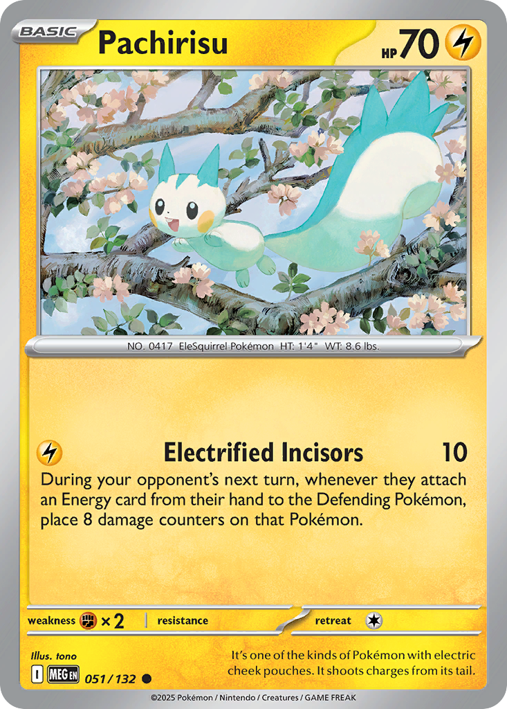 Pachirisu (English)