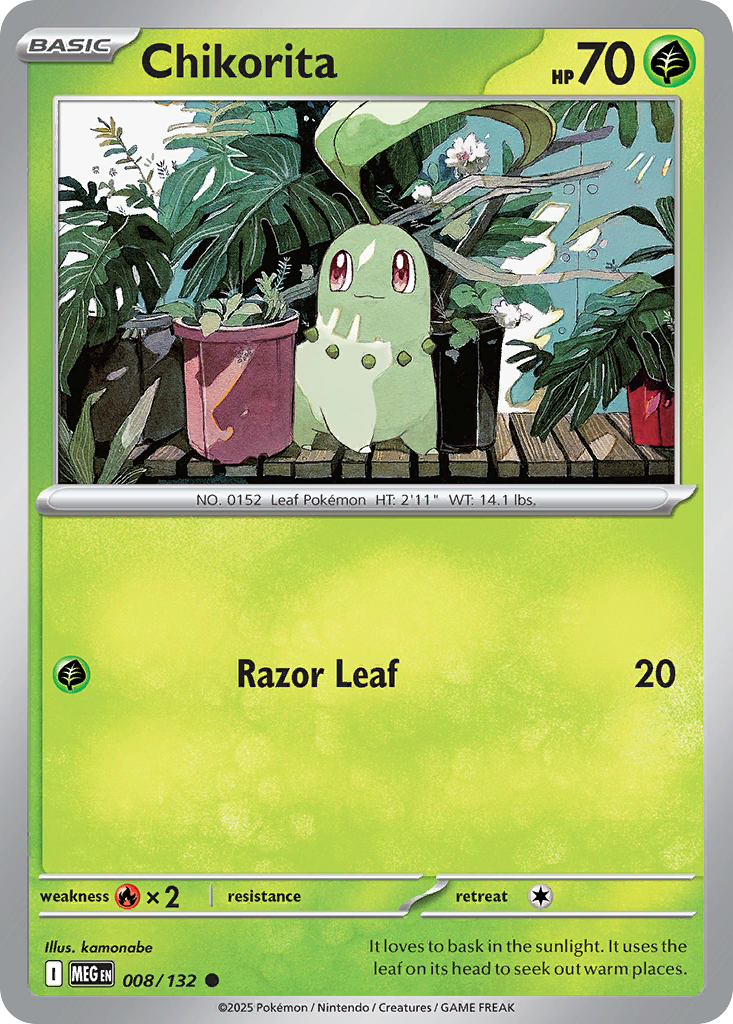Chikorita (English)