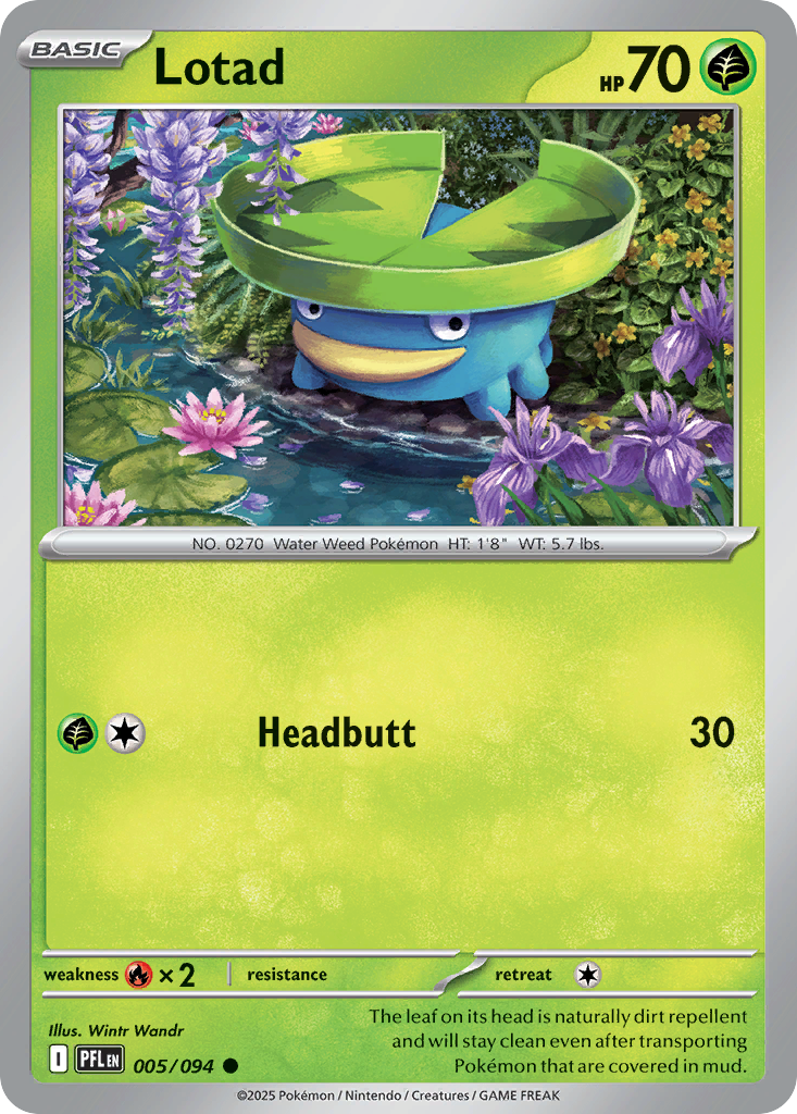 Lotad (English)