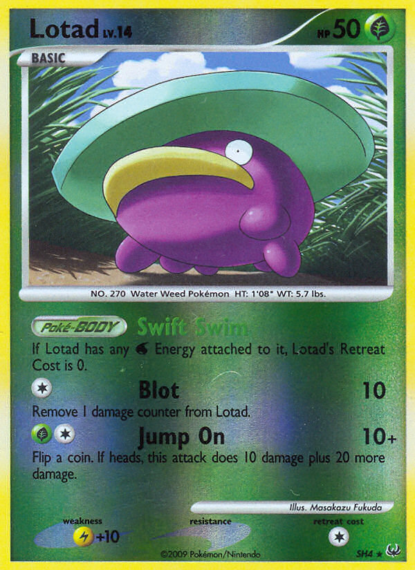 Lotad (English)