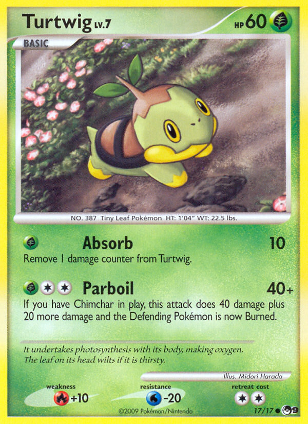 Turtwig (English)