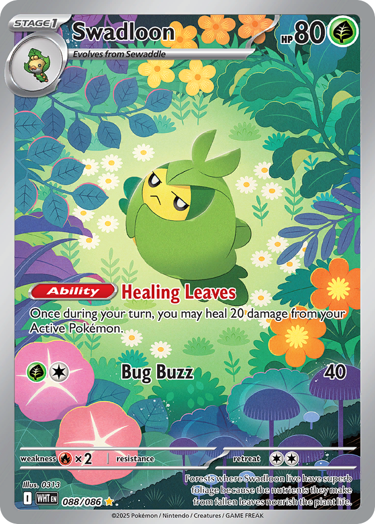 Swadloon (IR) (English)