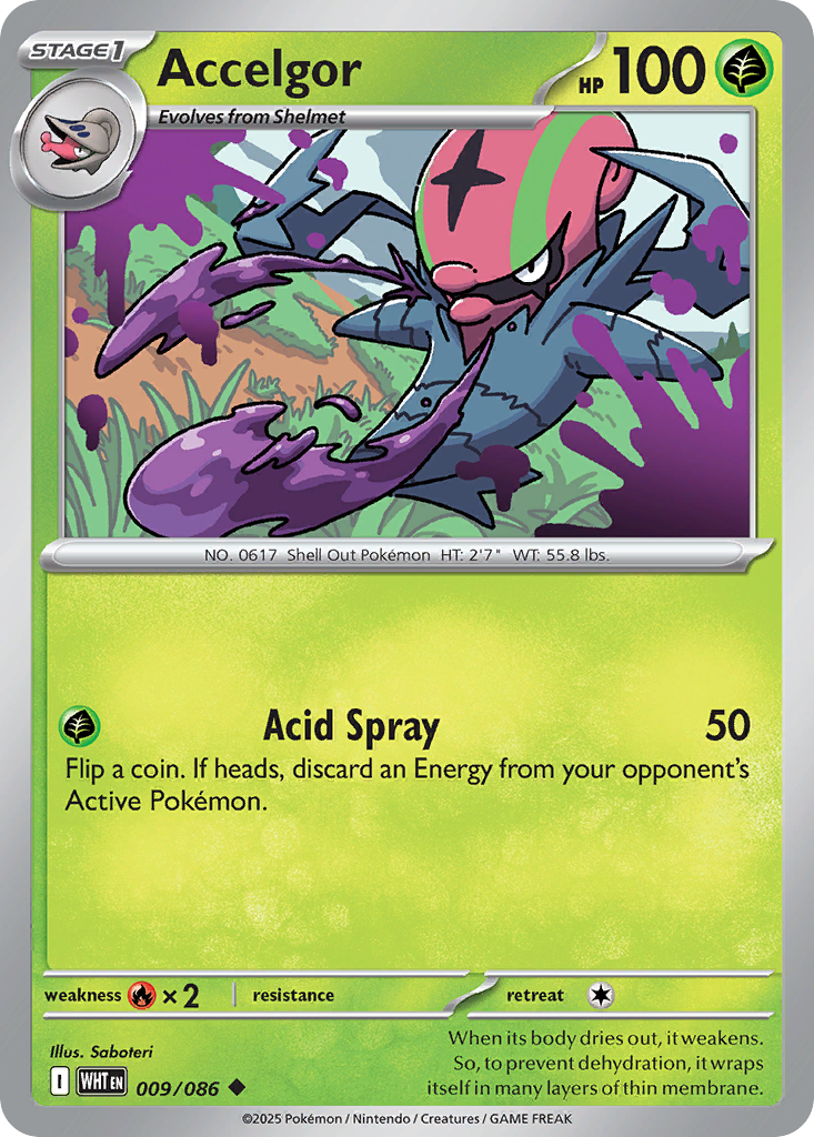 Accelgor (English)