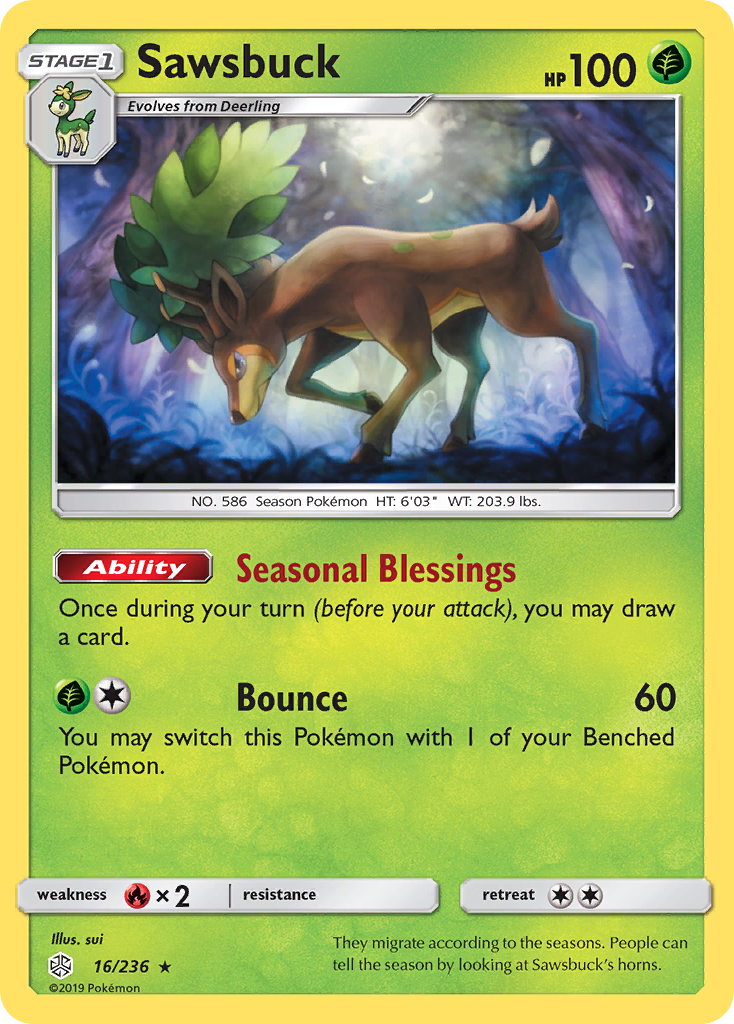 Sawsbuck (English)