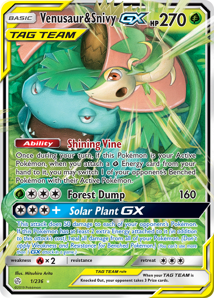 Venusaur & Snivy-GX (English)
