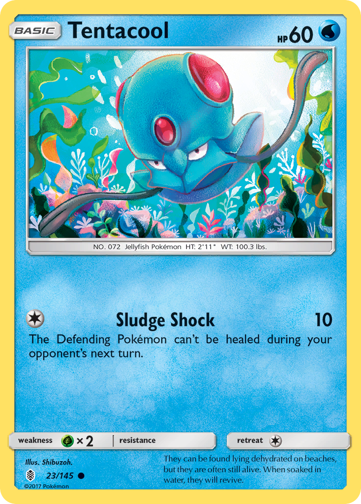 Tentacool (English)