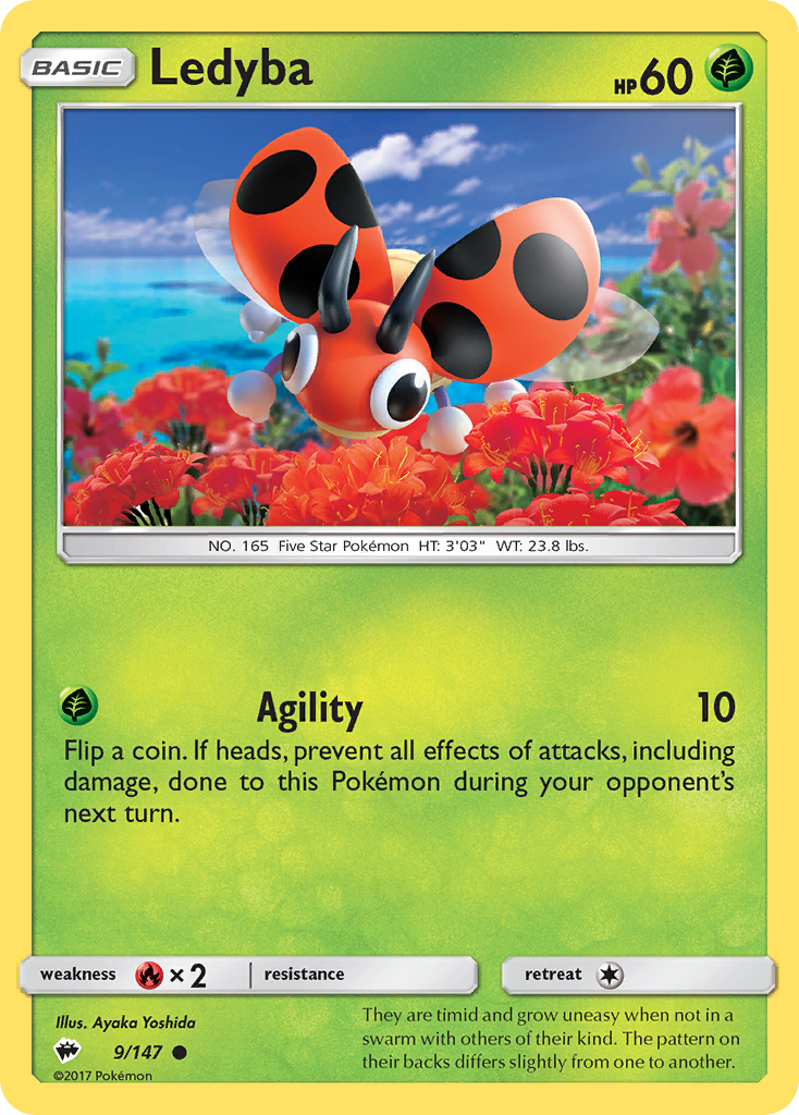 Ledyba (English)