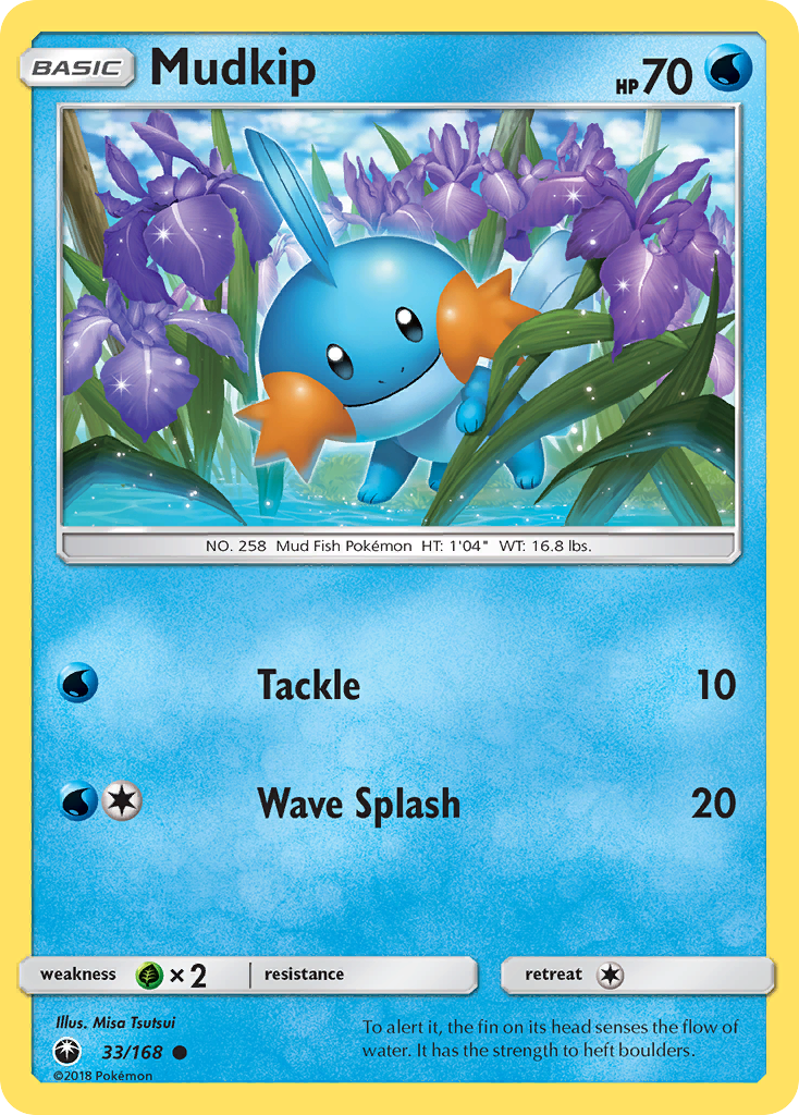 Mudkip (English)