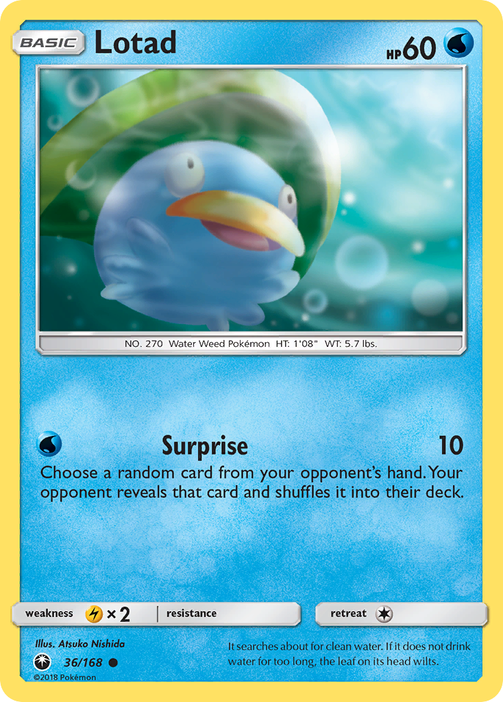 Lotad (English)