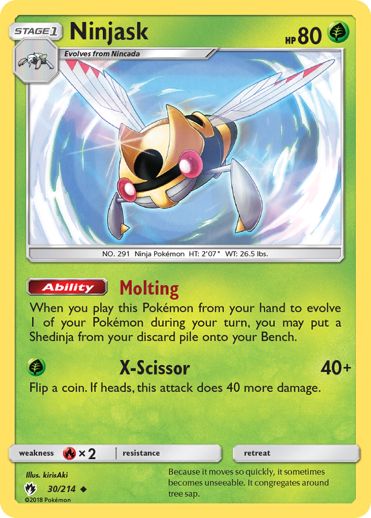 Ninjask (English)