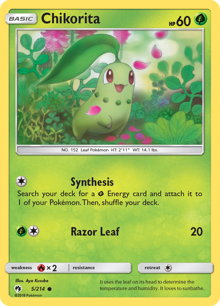 Chikorita (English)
