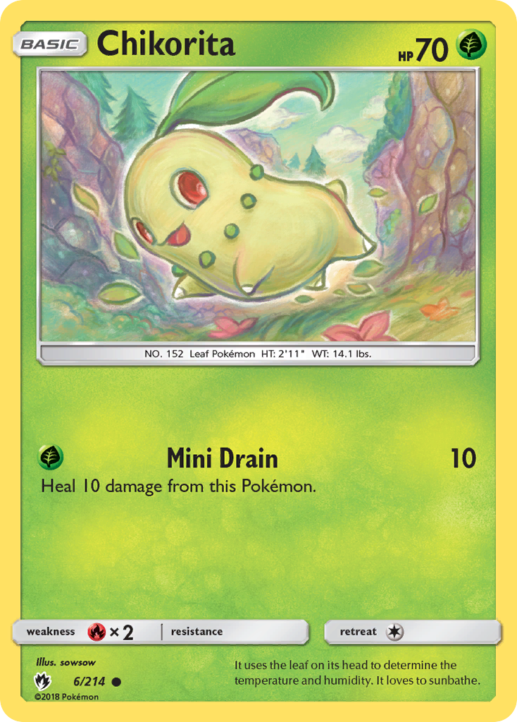 Chikorita (English)