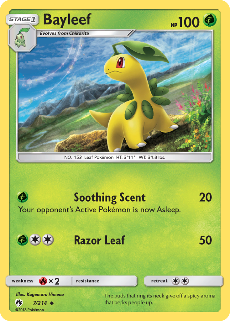 Bayleef (English)