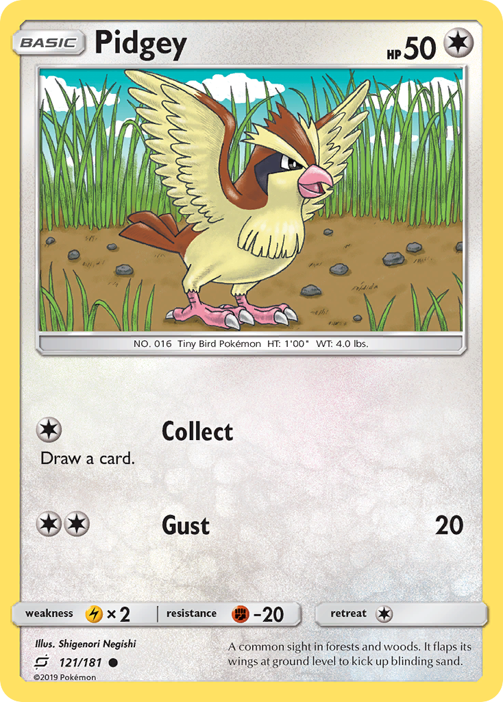 Pidgey (English)