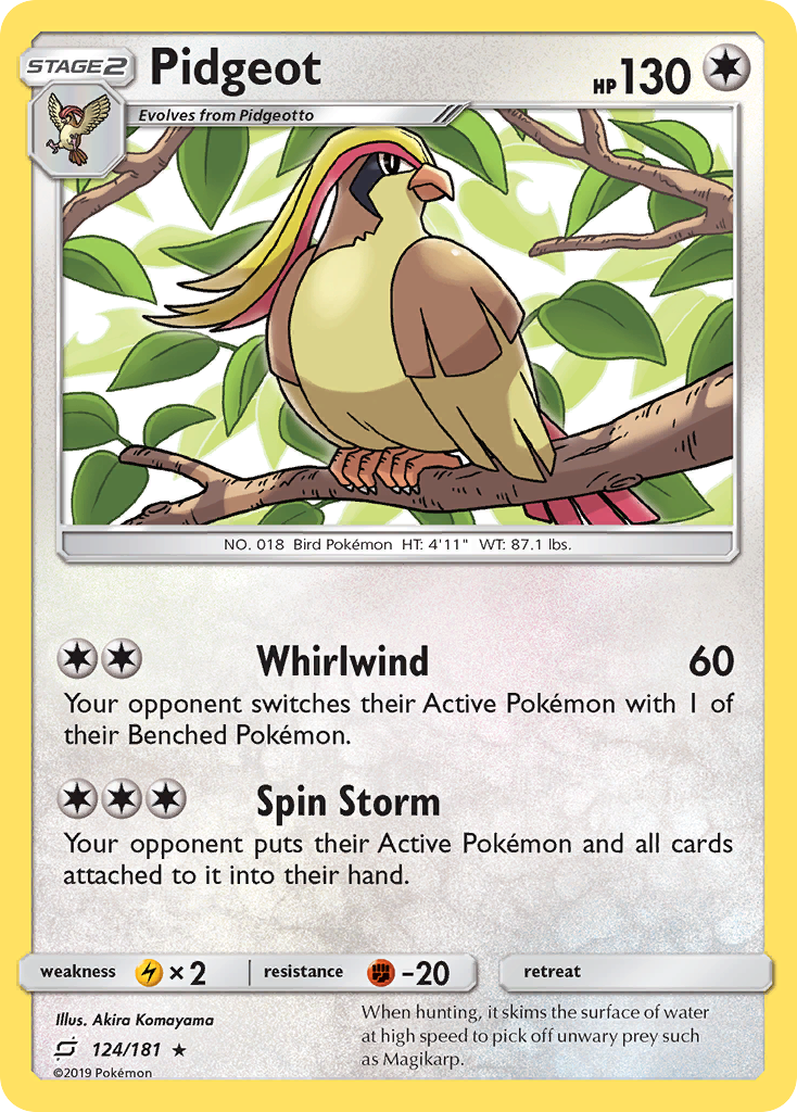 Pidgeot (English)