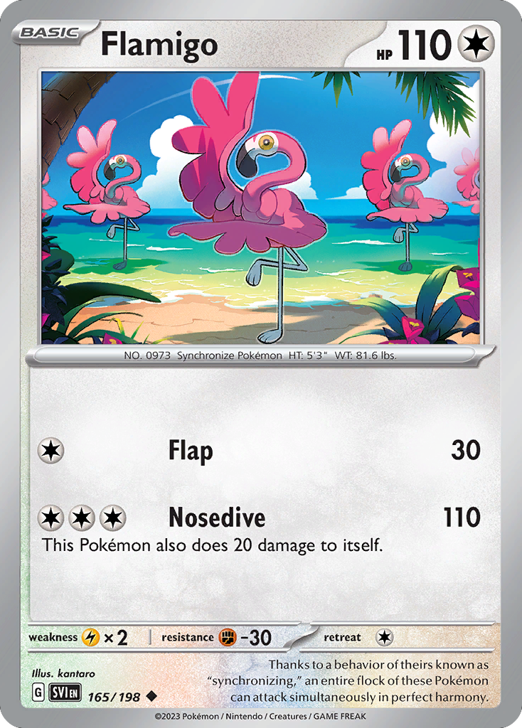 Flamigo (English)