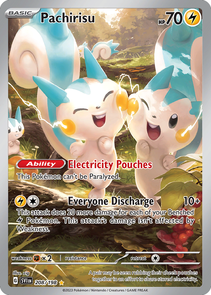 Pachirisu (IR) (English)