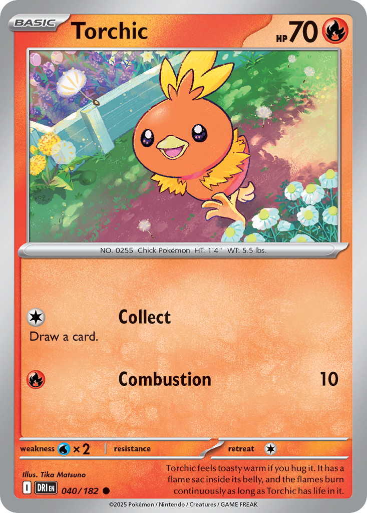 Torchic (English)
