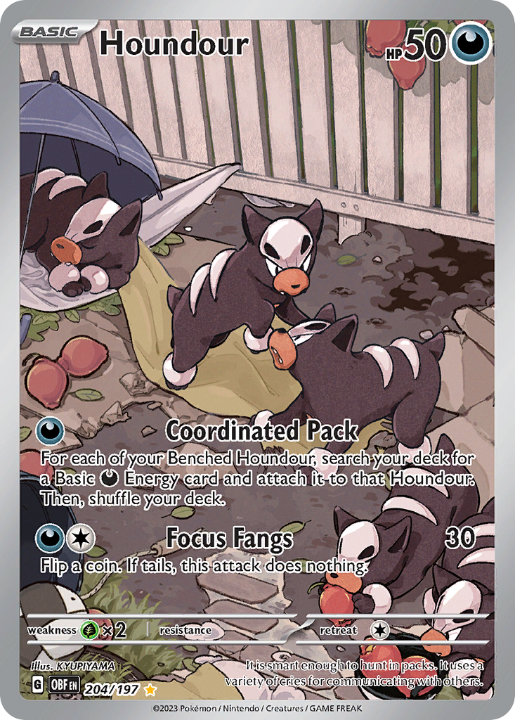 Houndour (IR) (English)