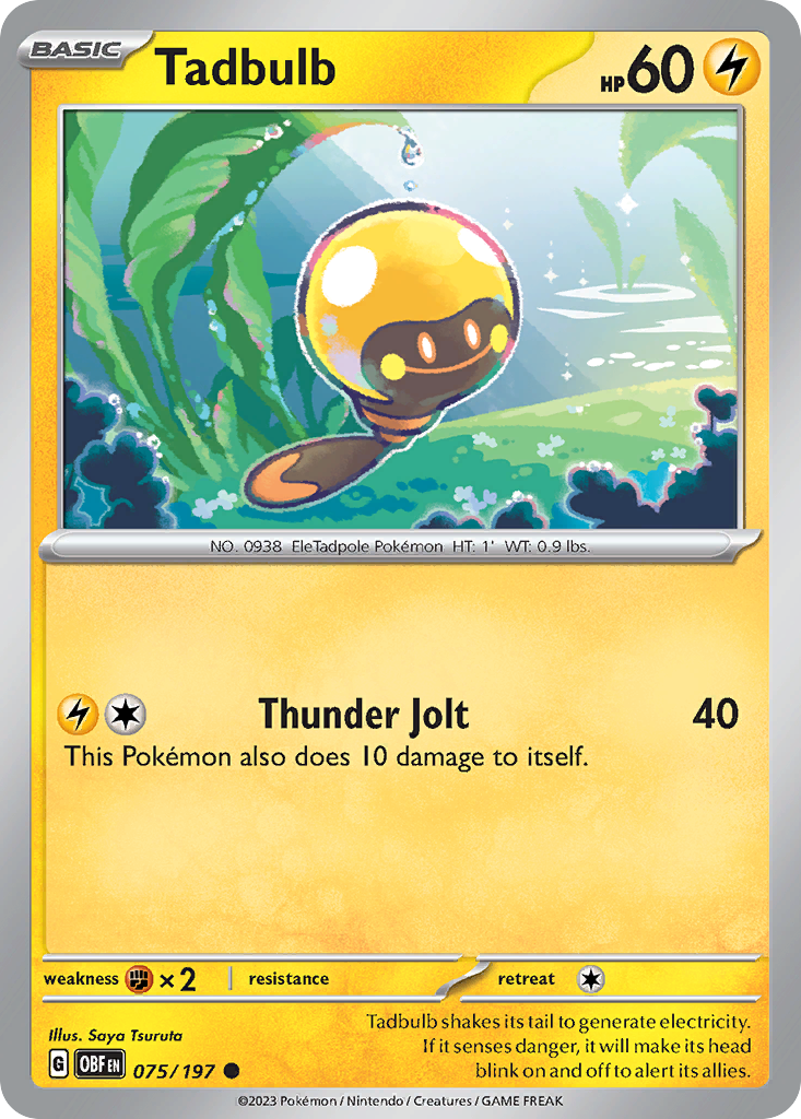 Tadbulb (English)
