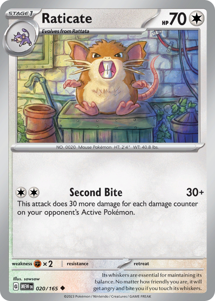 Raticate (English)