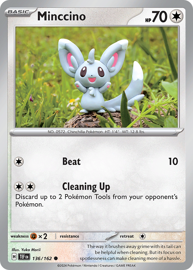 Minccino (English)