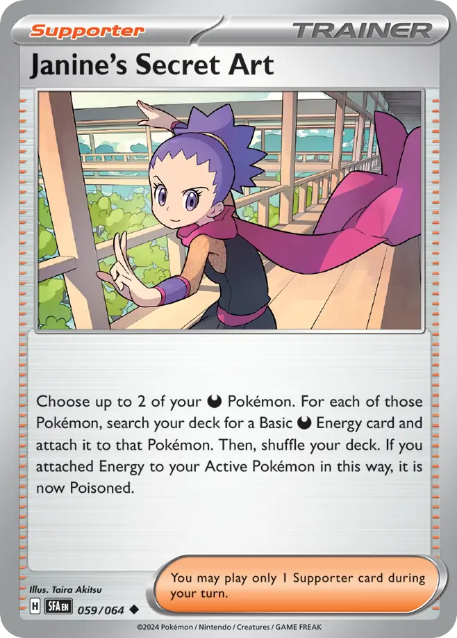 Janine's Secret Art (English)