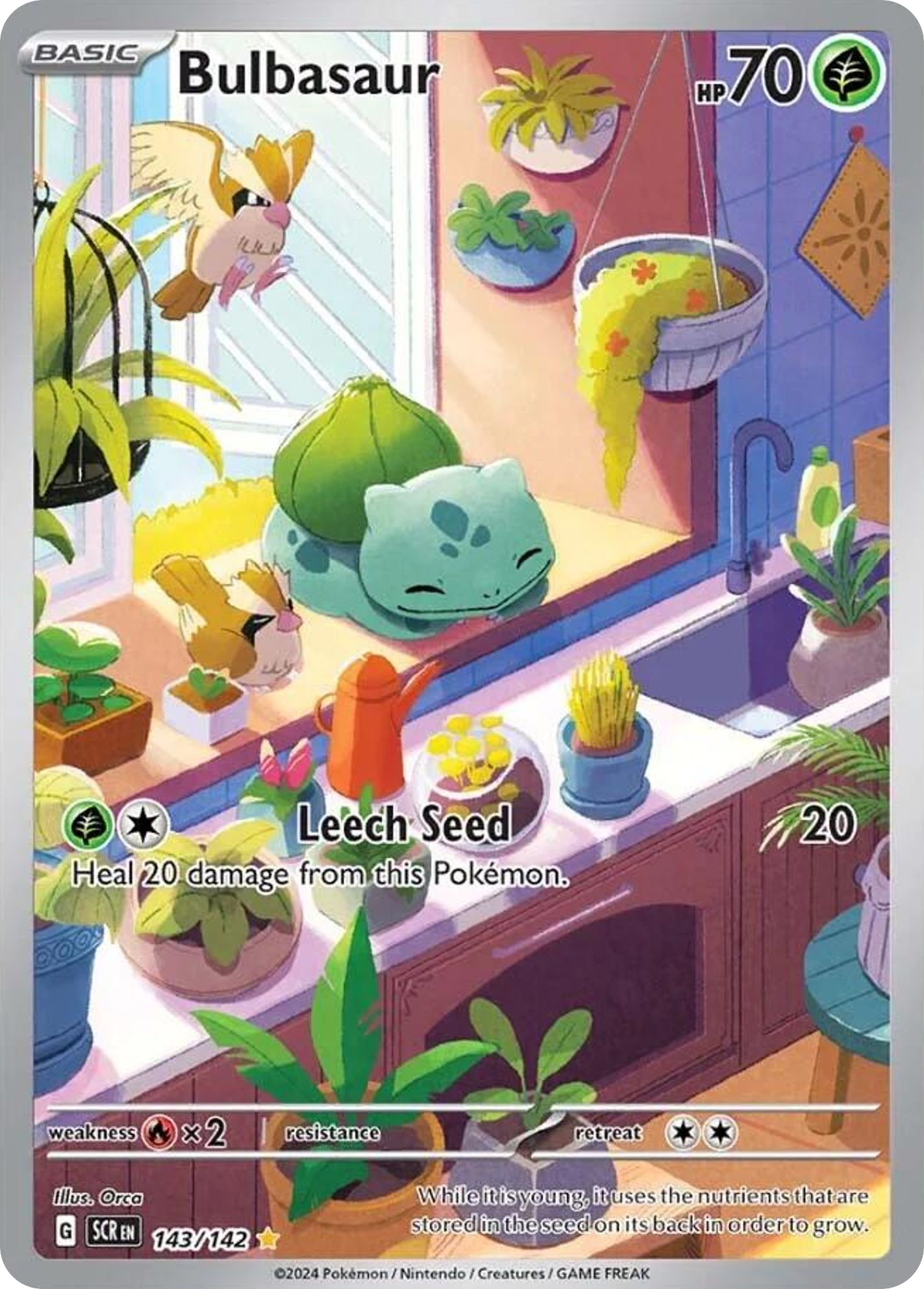 Bulbasaur (IR) (English)
