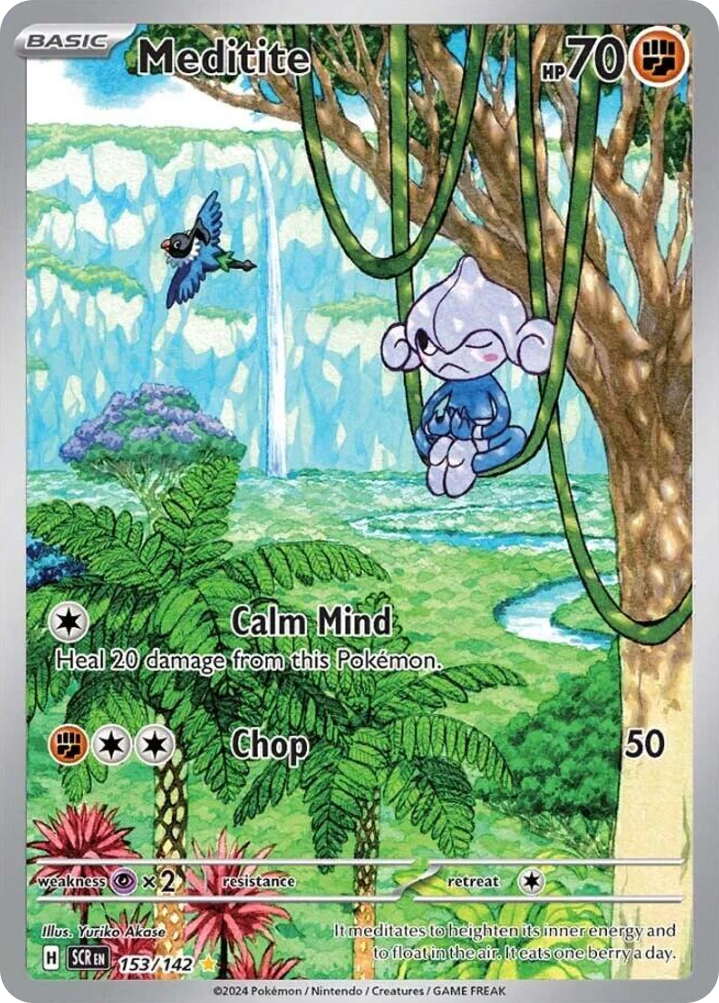 Meditite (IR) (English)